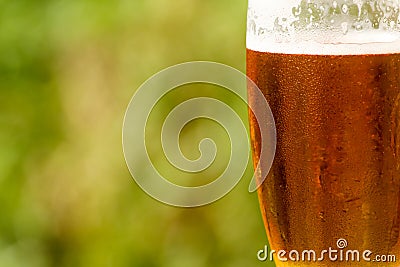 Cold glass of beer with foam Stock Photo