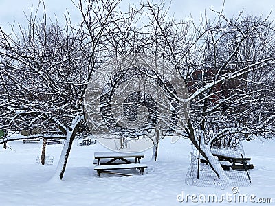 Cold Park Tables and Apple Trees After the Snow Storm Stock Photo