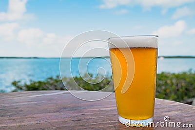 Cold pint of craft beer with a tropical background Stock Photo