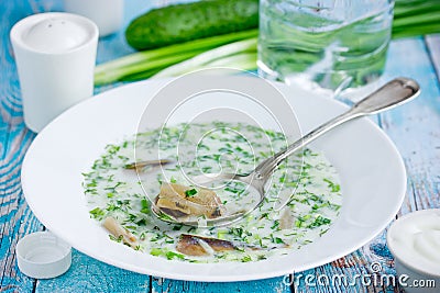Cold refreshing soup okroshka water, kefir, fresh cucumber, dill, onion, garlic and smoked fish Stock Photo
