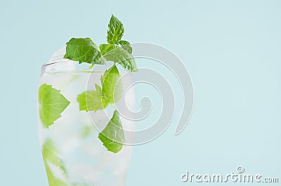 Cold shine sparkling drink for party with green leaves mint, ice cubes and tonic in elegant glass on mint color wall, closeup. Stock Photo