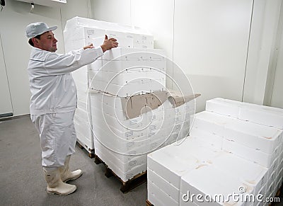 Cold storage worker Stock Photo