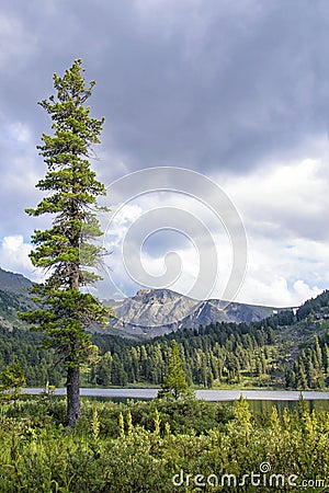 Cold Summer Mountain Landscape Stock Photo