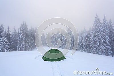 Cold winter day. Green tent stands on the snowy lawn. High spruce trees. Touristic camping rest place. Mountain landscape. Stock Photo