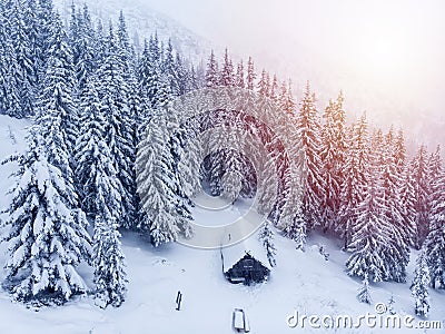 Cold winter morning in mountain foresty with snow covered fir trees. tatras, slovakia. Aerial view. Cabin alone in snow forest. Stock Photo