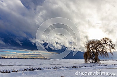 Cold winter storm Stock Photo