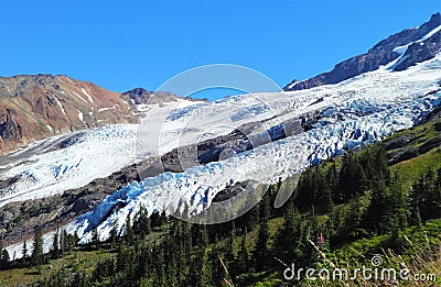 Coleman Glacier on Mount Baker Stock Photo