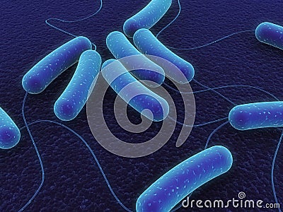 Coli bacteria Stock Photo