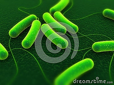 Coli bacteria Stock Photo