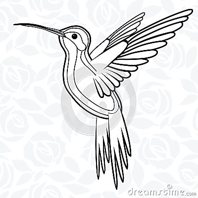 Colibri or Hummingbirds for logo, icon, t-shirt, mascot, poster vector illustration Vector Illustration