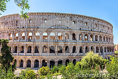 Coliseum in greenery, summer view, no people, Rome, Italy Stock Photo