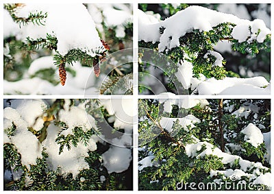 A collage of Christmas pictures. Beautiful winter background Stock Photo