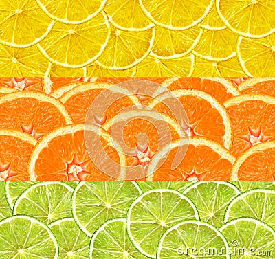 Collage with citrus-fruit of lime, lemon and orange slices Stock Photo