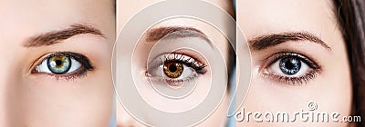 Collage of colorful eyes. Stock Photo