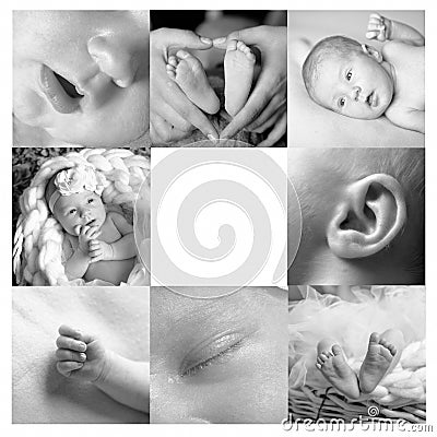 Collage cute newborn baby of four photo Stock Photo