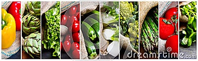 Collage of different types of fresh vegetables Stock Photo