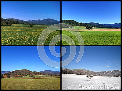 Collage four seasons of same harmony picturesque landscape with alone standing apple tree Stock Photo