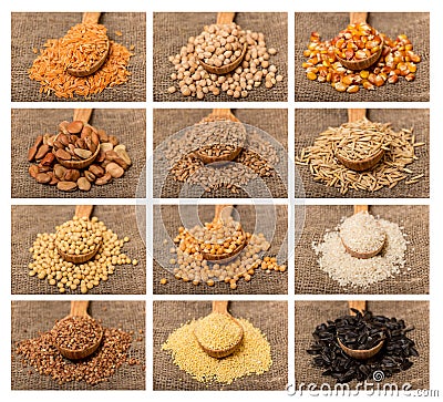 Collage from grain Stock Photo