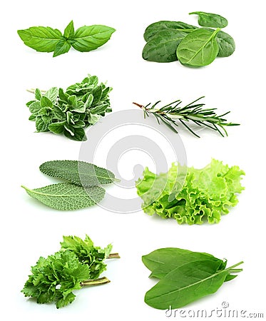 Collage of green and juice spice Stock Photo