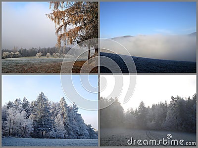 Collage hoarfrost and fog in harmony picturesque landscape Stock Photo