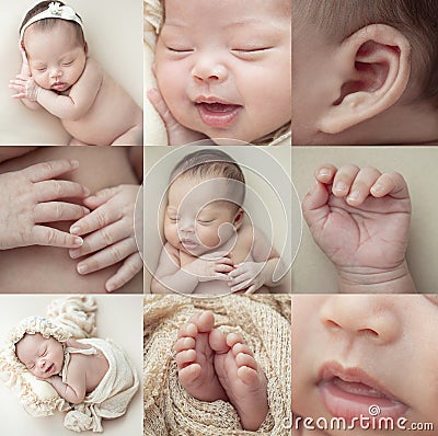 Collage images of baby newborn Stock Photo