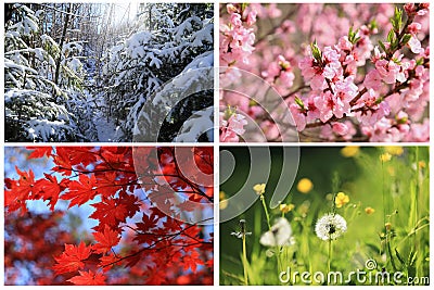 Collage images of four seasons Stock Photo