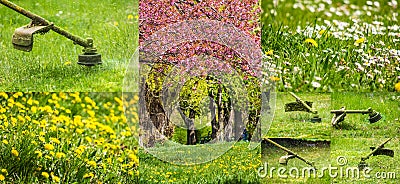 Collage images work in garden and lawn with gasoline trimmer Stock Photo