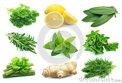 Collage of juice spice Stock Photo