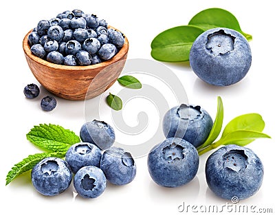 Collage set Berry blueberry in wooden and green leaves Fresh Stock Photo