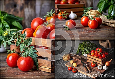 Collage mix set of Harvest tomatoes in wooden box spicy Stock Photo