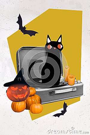 Collage photo of little sitting black cat music recorder player light candles angry horrible jack lantern halloween Stock Photo