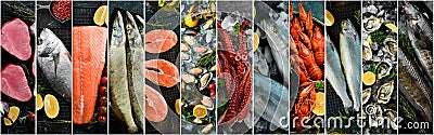Collage of photos of seafood. Fresh fish and seafood. Stock Photo