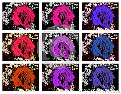 Collage of roses Stock Photo