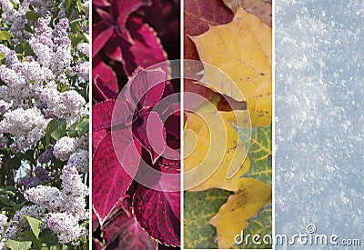 Collage of scenes of the four seasons Stock Photo