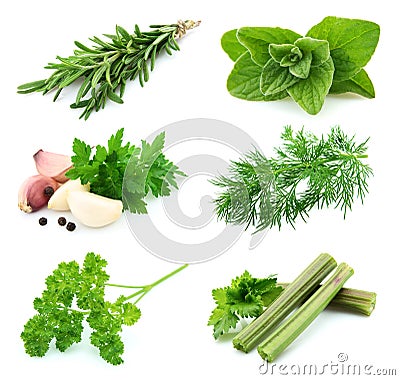 Collage of spice Stock Photo