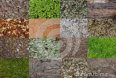 Wallpaper. Collage background with natural textures from forest and mountains: grass, stone, moss, leaves Stock Photo