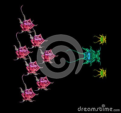 A collage of two groups of surrealistic animals created of rose macros on black background Stock Photo