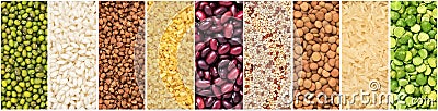 Collage of various grains, panorama. Collection of various cereals, banner Stock Photo