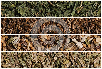 Collage of various spice seeds. Parsley and cumin, seasoning for pickling and fennel. Macro photography Stock Photo