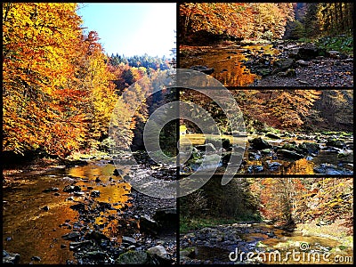 Collage water reflection in stream in gorge in harmony picturesque golden autumn landscape Stock Photo