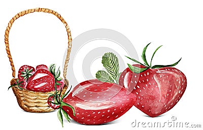 Collage watercolor ripe strawberry elements Cartoon Illustration