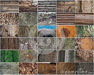 Collage winter forest texture Stock Photo