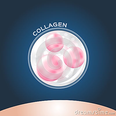 Collagen apply on skin , serum , drop . collagen makes cell better Vector Illustration