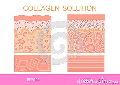 Collagen ,Protection Skin vector Vector Illustration