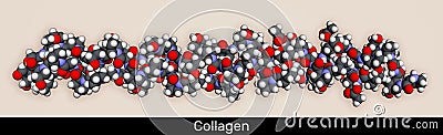 Collagen protein molecule. Molecular model. 3D rendering Stock Photo