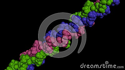 Collagen protein molecule. Molecular model. 3D rendering Stock Photo