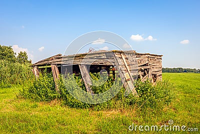Collapsed wooden shed Stock Photo