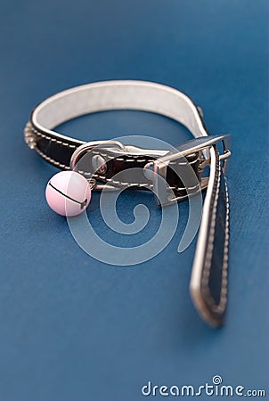 Collar with clack Stock Photo