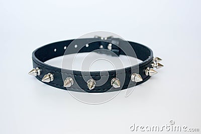 collar with spines. black with spines Stock Photo