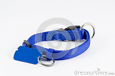 Collar and tag for dog Stock Photo